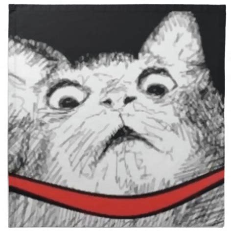Surprised Cat Gasp Meme Set Of 4 Napkins Zazzle