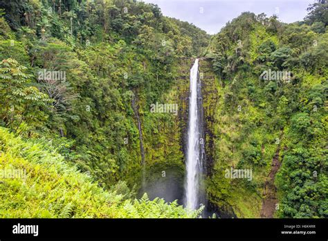 Akaka Falls Waterfall In Hawaii Big Island Stock Photo Alamy