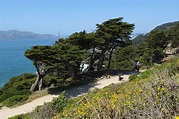 Lands End Hike San Francisco [Epic Pacific Views]