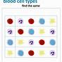 Human Blood Cell Typing Worksheet