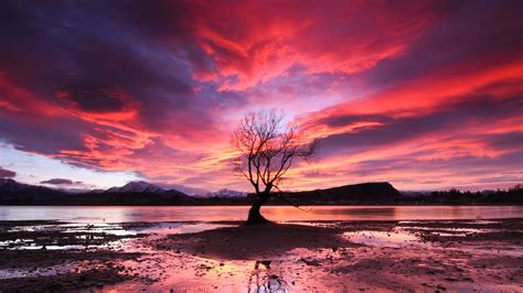 Wanaka Wallpapers Photos And Desktop Backgrounds Up To 8k
