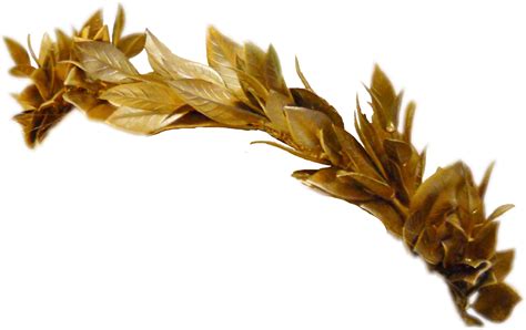 Greek Crown Greekcrown Leaves Gold Golden Goldcrown Gold Leaf Crown