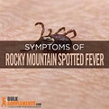 How To Treat Rocky Mountain Spotted Fever In Dogs