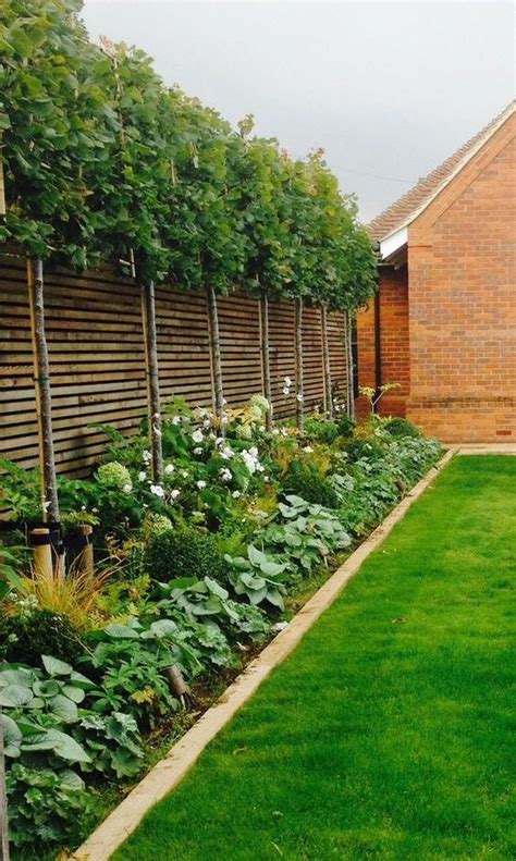 25 Smart And Stylish Garden Screening Ideas To Add A Little Privacy