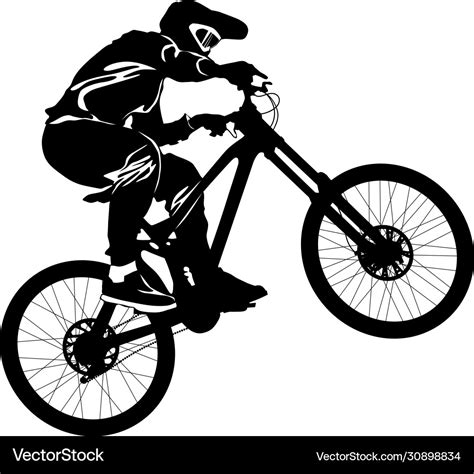 Silhouette A Cyclist Riding A Mountain Bike Vector Image
