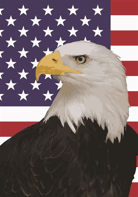 Iphone Bald Eagle American Flag Wallpaper Lyrical Venus