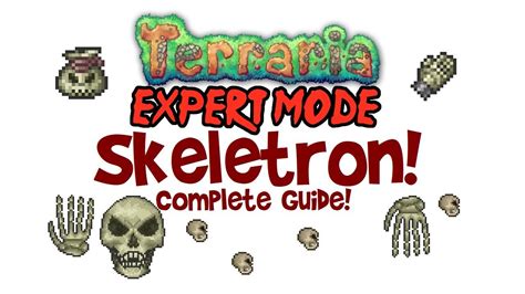 Expert mode and normal, all platforms! Terraria Skeletron Expert Guide (+Normal too! Boss Fight, Drops, Arena, Clothier Voodoo Doll ...