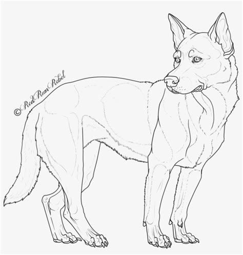 Download Free Australian Cattle Dog Lineart By Red Solace Australian