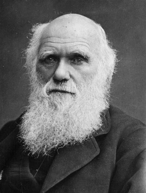 ¿en Qué Consiste La Teoría De La Evolución De Darwin Chema Tierra