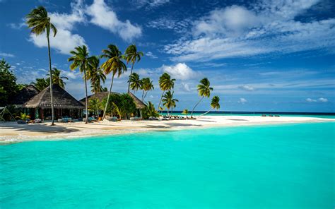 tropical island maldives indian ocean palm tree turkuaz horizon bungalow house blue sky cloud