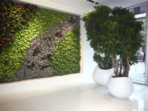 Images Of Artificial Green Walls Office Landscapes