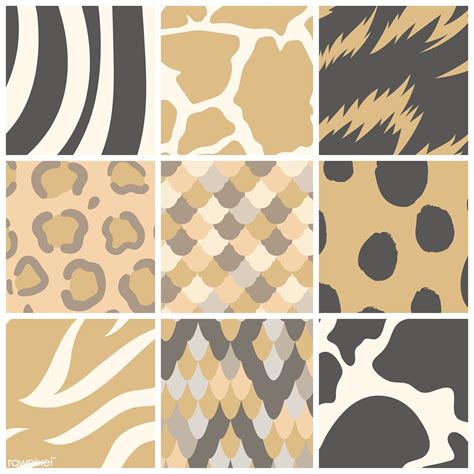 Set Of Seamless Animal Print Pattern Vectors Free Image By Rawpixel