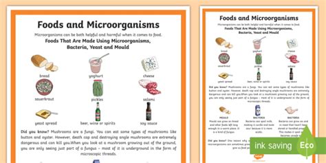 Microorganisms And Foods Display Poster Teacher Made