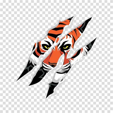 Tiger Claw Tiger Transparent Background Png Clipart Hiclipart