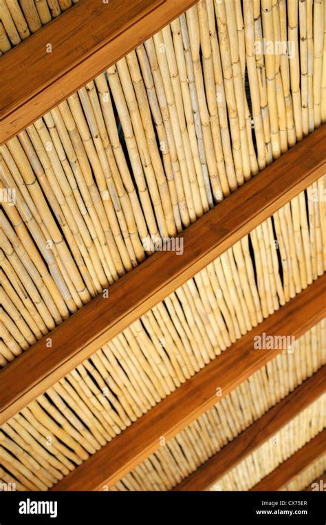 Bamboo Ceiling Hi Res Stock Photography And Images Alamy