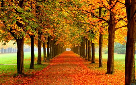 Relaxing Autumn Day Wallpapers Top Free Relaxing Autumn Day
