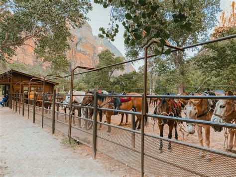 Horseback Riding In Zion National Park Palm Trees And Pellegrino Zion