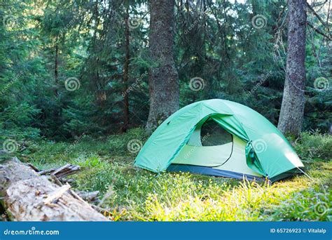 Camping Area With Multi Colored Tents In Forest Stock Image Image Of