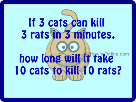 Fun Math Riddles How Long Will It Take 10 Cats To Kill 10 Rats Math