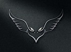 Eagle Eye Logo by Anowar Hossain on Dribbble