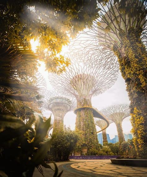 Plant nurseries are the best places for you to get all the gardening tools and plants you'll need under one roof. National Destinations on Instagram: "Explore plant life ...