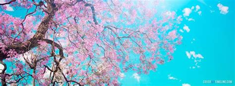 Spring Cherry Blossom Tree Facebook Timeline Cover Background