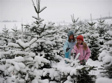 Wann schmückt man das haus mit weihnachtsdeko? 36 Best Images Seit Wann Gibt Es Weihnachten / Weihnachten ...