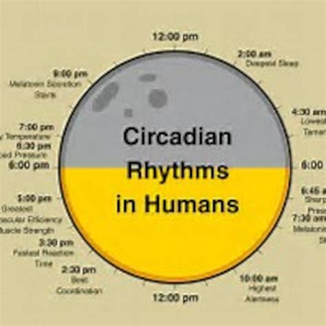 Circadian Rhythm Sleep Wake Cycle Podcast