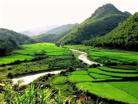 Pu Luông Nature Reserve Mai Chau District Vietnam Qué Ver