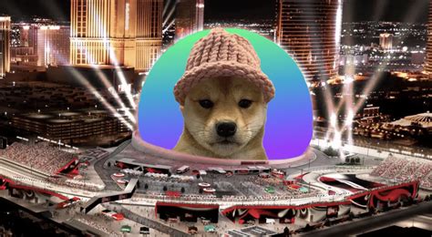 Crypto Enthusiasts Raise Nearly 690000 To Put Dogwifhat Meme On Las