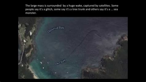 See the world from a new point of view with voyager, a collection of guided tours from bbc earth, nasa, national geographic, and more. Sea Monster found in New Zealand by Google Earth 2014 ...