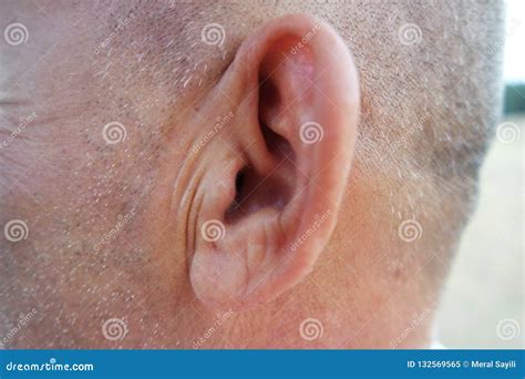 Healthy Side View Of The Ear Stock Image Image Of Closeup Hearing