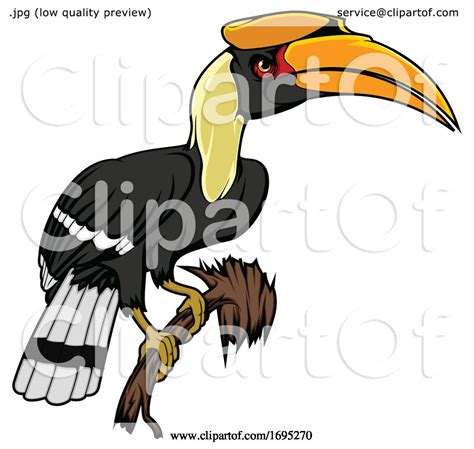 Rhinoceros Hornbill Bird By Vector Tradition Sm 1695270