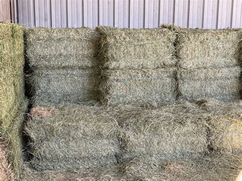 Can You Tell Good Hay Just By Looking At It Wrenwood Stables