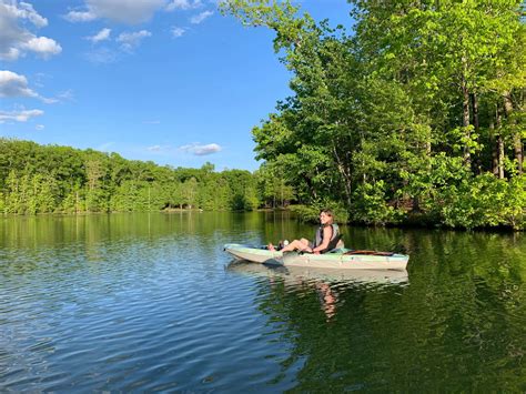 Dr. Mann - Animal Health Care Center