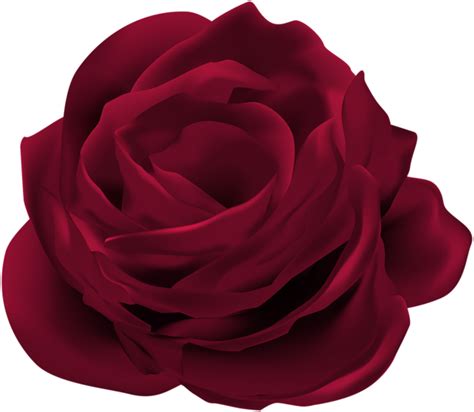 Terbaru 21+ Bunga Mawar Merah Download - Gambar Bunga HD