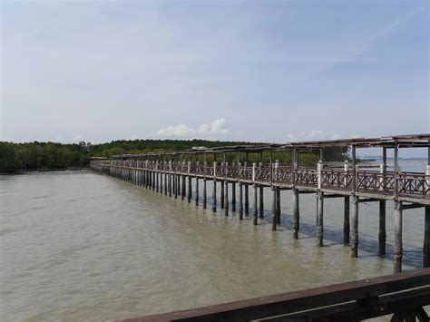 Taman negara johor tanjung piai. Tanjung Piai National Park (Taman Negara Tanjung Piai), Ma ...