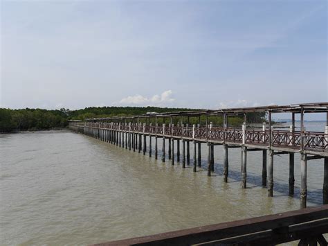 Secara tepat tanjung piai terletak di latitud 01.16 utara dan longitud 103.30.46 timur. Tanjung Piai National Park (Taman Negara Tanjung Piai), Ma ...