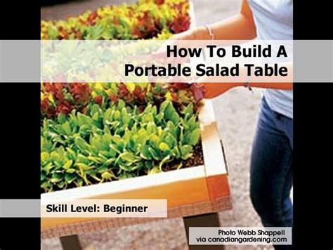How To Build A Portable Salad Table