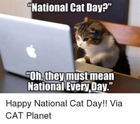 National Cat Day Oh They Must Mean National Everyday