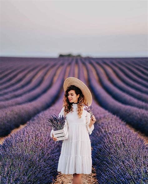 Tuscany Aesthetic Lavender Fields Photography Lavender Cottage