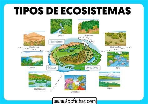 Historia De Los Ecosistemas Ecosistemas Mas Importantes Del Mundo My Xxx Hot Girl