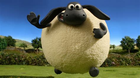 Timmy From Shaun The Sheep