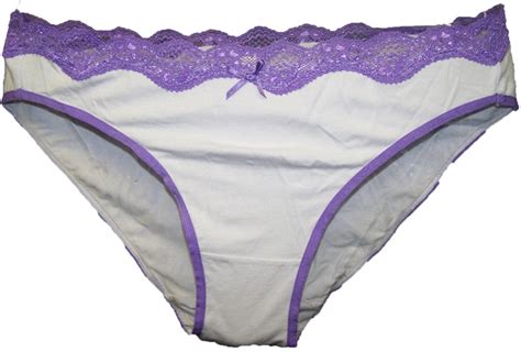 Dkny Womens Cotton Bikini With Lace 4 Pack Underwear Panties Tan Wht