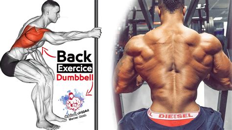DUMBBELL Back Exercises Workouts - Massive - SAM's HEALTH and Fitness