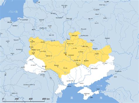 Ukrainos miestų, kelių palydovinis žemėlapis. 歴史 | ウクライナ 芸術 歴史 宗教