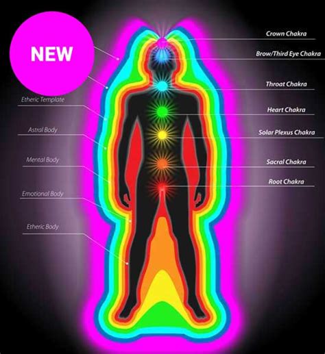 Aura And Chakra Energy Healing Course School Of Natural Health Sciences