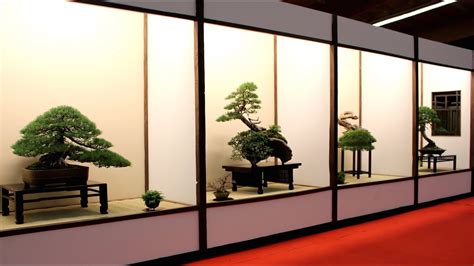 Tray cultivation) is the japanese art of growing trees, or woody plants shaped as trees, in containers. Tokonoma by David Benavente - YouTube