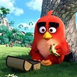 Las primeras críticas de 'Angry Birds, la película' son muy positivas ...