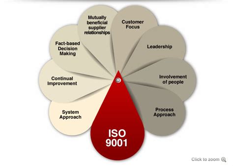 Ace Management System Consultants Iso 90012008 Qms